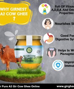 The Secrets of GirNest Gir A2 Cow Ghee