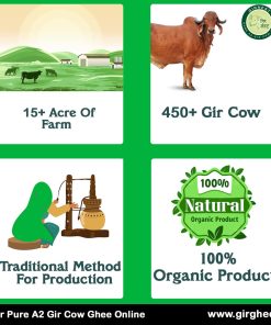 Gir cow farm near jaipur